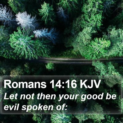 Romans 14:16 KJV Bible Verse Image