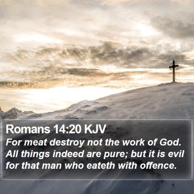 Romans 14:20 KJV Bible Verse Image