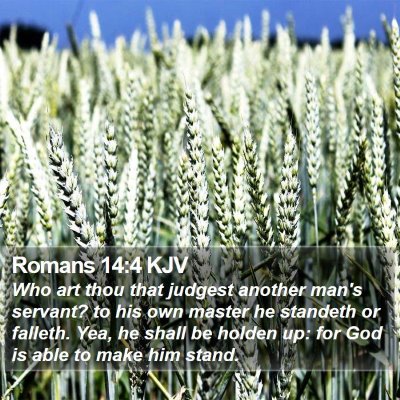 Romans 14:4 KJV Bible Verse Image