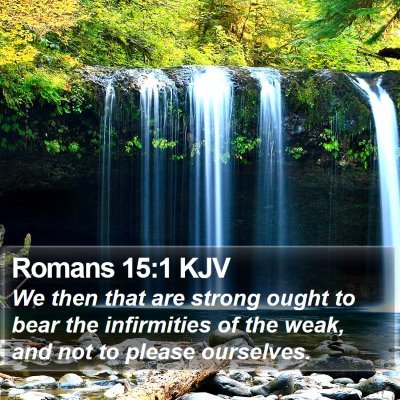 Romans 15:1 KJV Bible Verse Image
