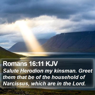 Romans 16:11 KJV Bible Verse Image