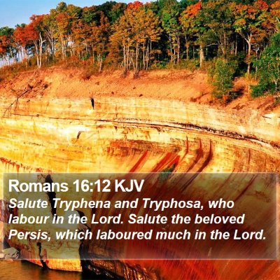 Romans 16:12 KJV Bible Verse Image
