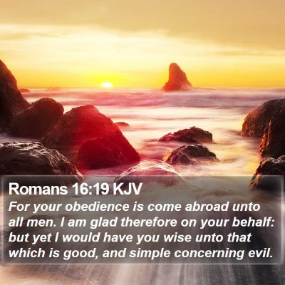 Romans 16:19 KJV Bible Verse Image