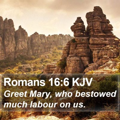 Romans 16:6 KJV Bible Verse Image