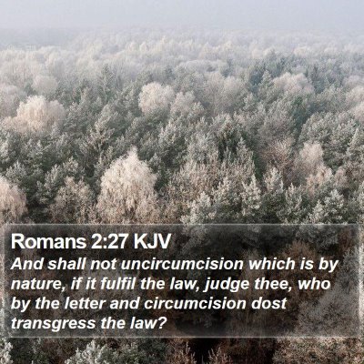 Romans 2:27 KJV Bible Verse Image