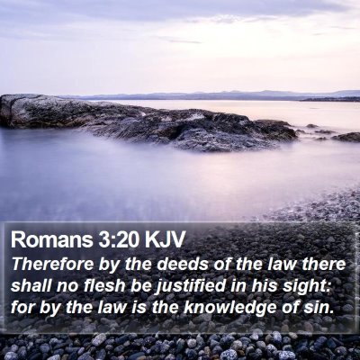 Romans 3:20 KJV Bible Verse Image