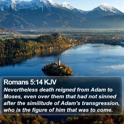 Romans 5:14 KJV Bible Verse Image