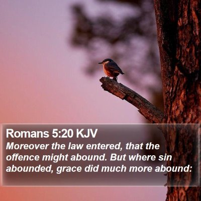 Romans 5:20 KJV Bible Verse Image