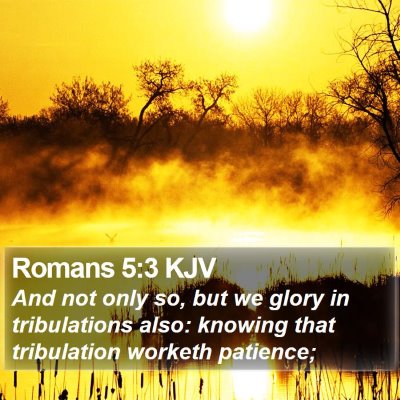 Romans 5:3 KJV Bible Verse Image