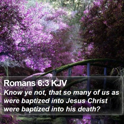 Romans 6:3 KJV Bible Verse Image