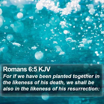 Romans 6:5 KJV Bible Verse Image