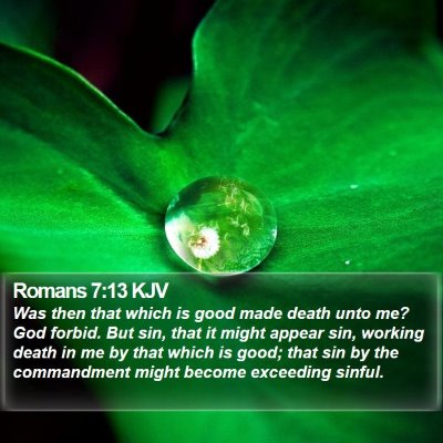 Romans 7:13 KJV Bible Verse Image