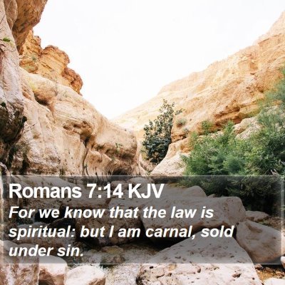 Romans 7:14 KJV Bible Verse Image