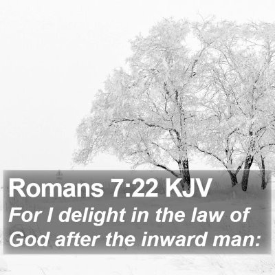 Romans 7:22 KJV Bible Verse Image