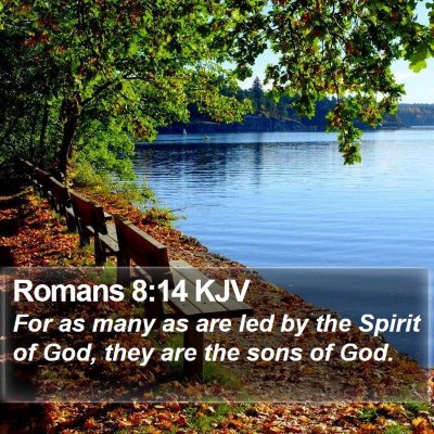 Romans 8:14 KJV Bible Verse Image