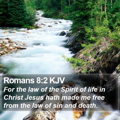 Romans 8:2 KJV Bible Verse Image