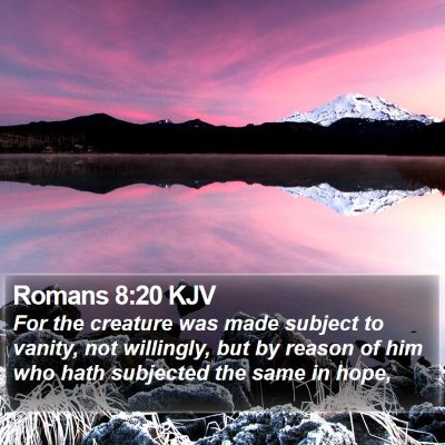 Romans 8:20 KJV Bible Verse Image