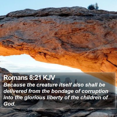 Romans 8:21 KJV Bible Verse Image