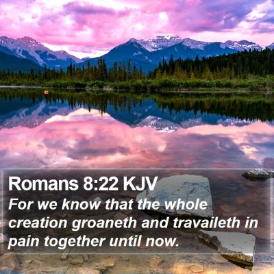 Romans 8:22 KJV Bible Verse Image
