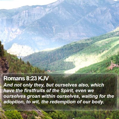 Romans 8:23 KJV Bible Verse Image