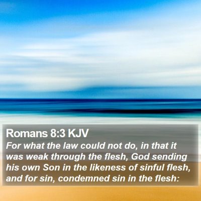 Romans 8:3 KJV Bible Verse Image