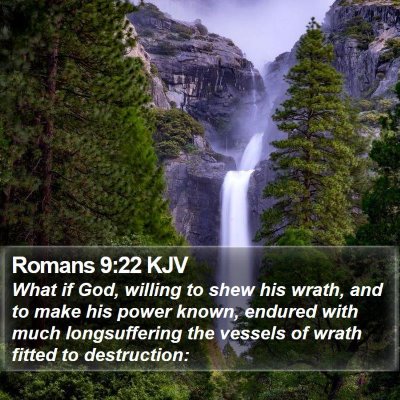 Romans 9:22 KJV Bible Verse Image