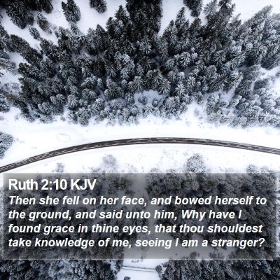 Ruth 2:10 KJV Bible Verse Image