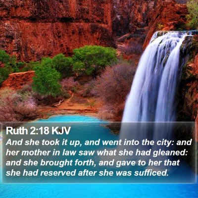 Ruth 2:18 KJV Bible Verse Image