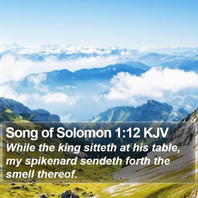 Song of Solomon 1:12 KJV Bible Verse Image