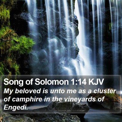 Song of Solomon 1:14 KJV Bible Verse Image