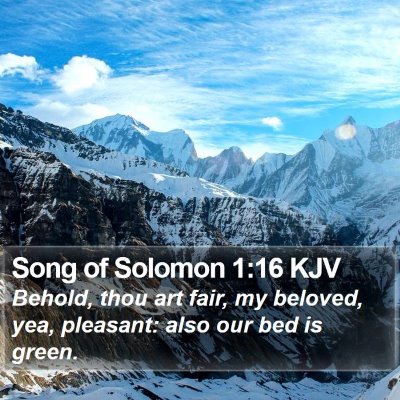 Song of Solomon 1:16 KJV Bible Verse Image