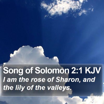 Song of Solomon 2:1 KJV Bible Verse Image