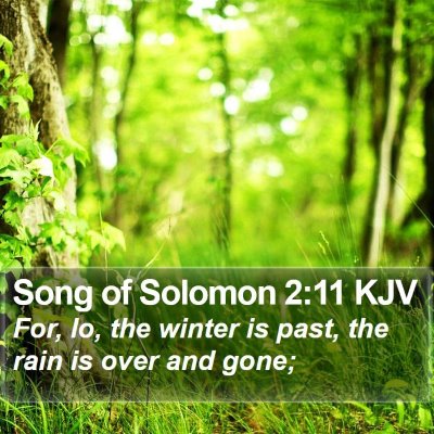 Song of Solomon 2:11 KJV Bible Verse Image