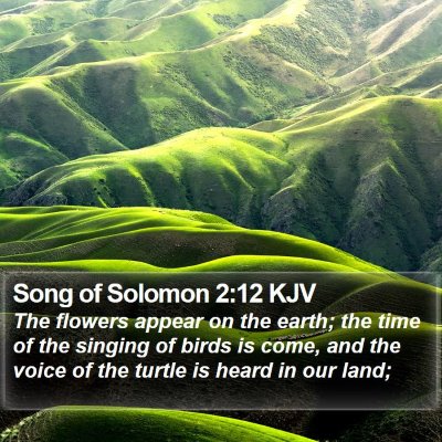 Song of Solomon 2:12 KJV Bible Verse Image