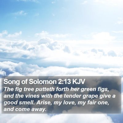 Song of Solomon 2:13 KJV Bible Verse Image