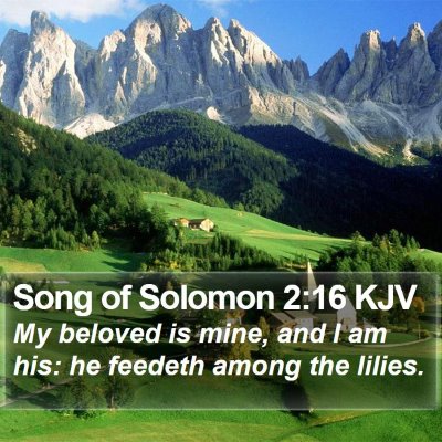 Song of Solomon 2:16 KJV Bible Verse Image