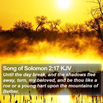 Song of Solomon 2:17 KJV Bible Verse Image