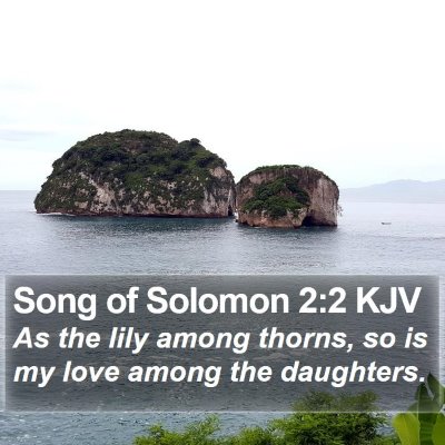 Song of Solomon 2:2 KJV Bible Verse Image