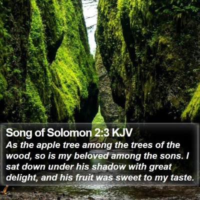 Song of Solomon 2:3 KJV Bible Verse Image