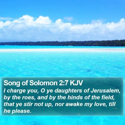 Song of Solomon 2:7 KJV Bible Verse Image