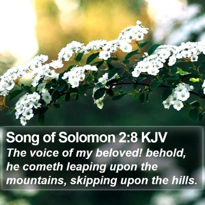 Song of Solomon 2:8 KJV Bible Verse Image