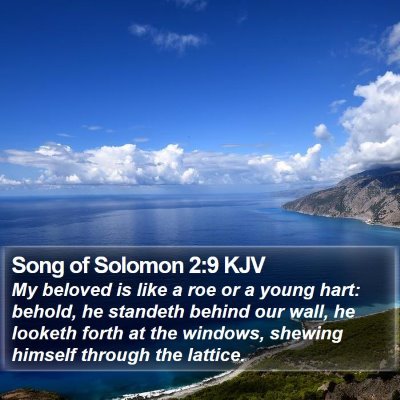 Song of Solomon 2:9 KJV Bible Verse Image