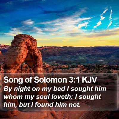 Song of Solomon 3:1 KJV Bible Verse Image