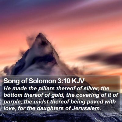 Song of Solomon 3:10 KJV Bible Verse Image