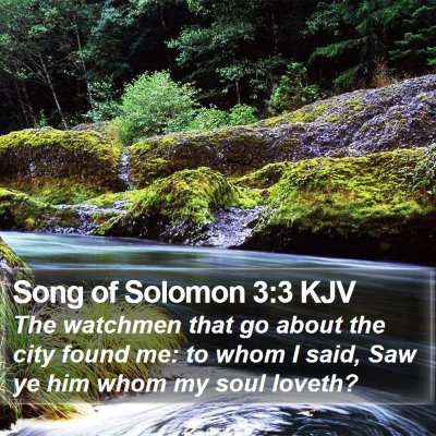 Song of Solomon 3:3 KJV Bible Verse Image