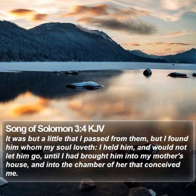 Song of Solomon 3:4 KJV Bible Verse Image