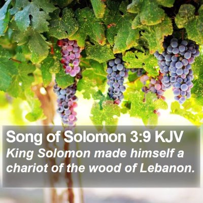 Song of Solomon 3:9 KJV Bible Verse Image