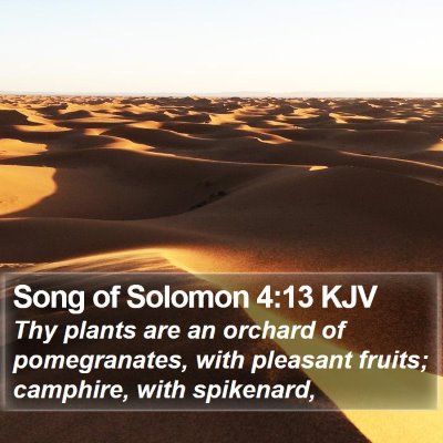 Song of Solomon 4:13 KJV Bible Verse Image