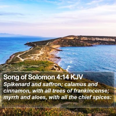 Song of Solomon 4:14 KJV Bible Verse Image