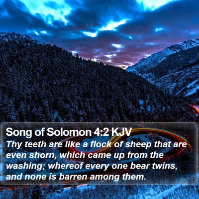 Song of Solomon 4:2 KJV Bible Verse Image